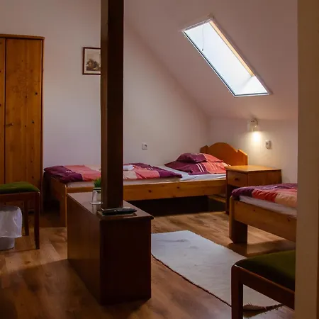 Borhaz Panzio Hajos-pincefalu