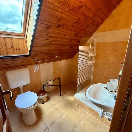 Frühstückspension Borhaz Panzio Hajos-pincefalu 3*