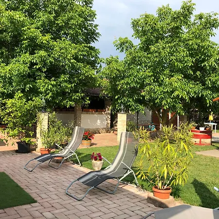 Borhaz Panzio Hajos-pincefalu 3*