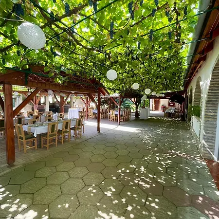 住宿加早餐酒店 Borhaz Panzio Hajos-pincefalu *