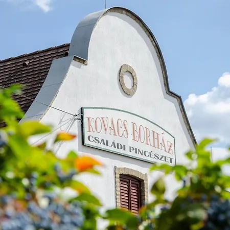 Borhaz Panzio Hajos-pincefalu Bed & Breakfast *