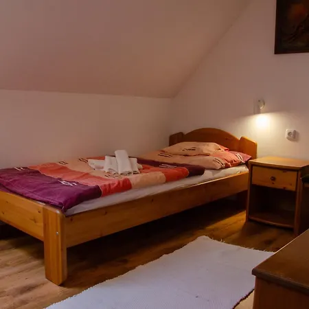 Borhaz Panzio Hajos-pincefalu Bed & Breakfast *